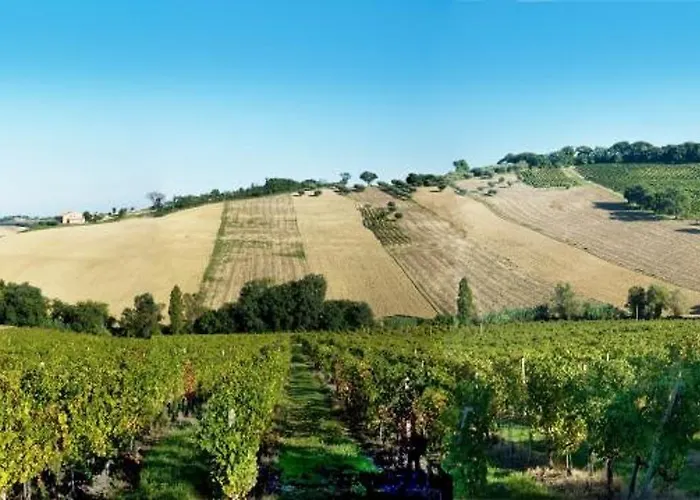 La Nuova Casa di campagna *