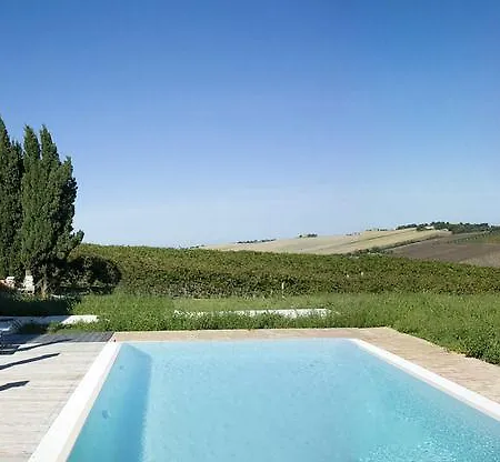 La Nuova *
